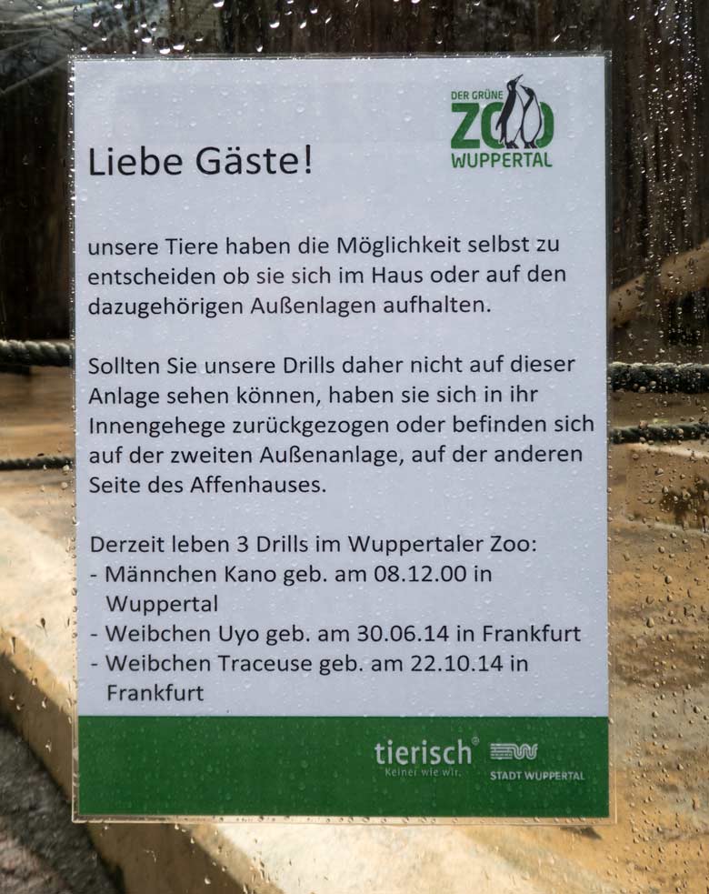 Aushang zu den Drillen am 2. Januar 2018 an der verregneten Scheibe der Außenanlage im Grünen Zoo Wuppertal