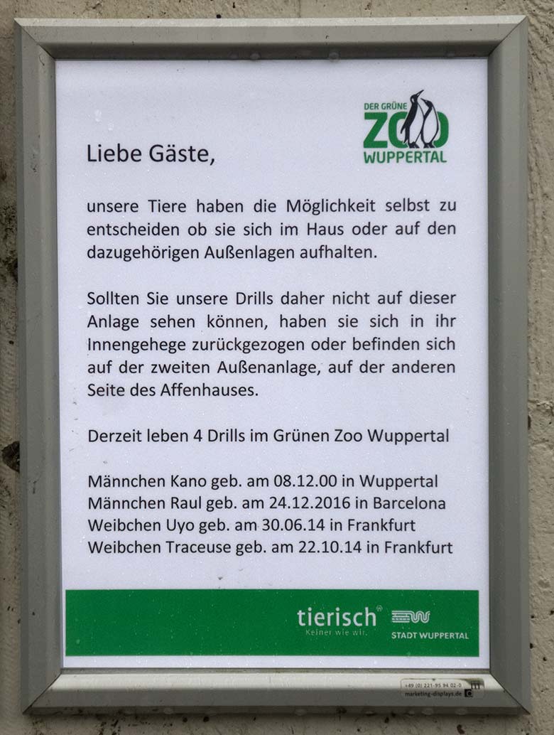 Aushang zu den vier Drillen am 22. Dezember 2019 am Außengehege am Affen-Haus im Grünen Zoo Wuppertal