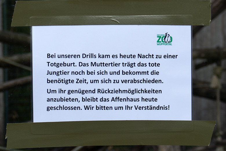 Aushang an der Außenanlage der Drillen am Affen-Haus am 6. November 2022 zur Totgeburt bei den Drillen im Grünen Zoo Wuppertal
