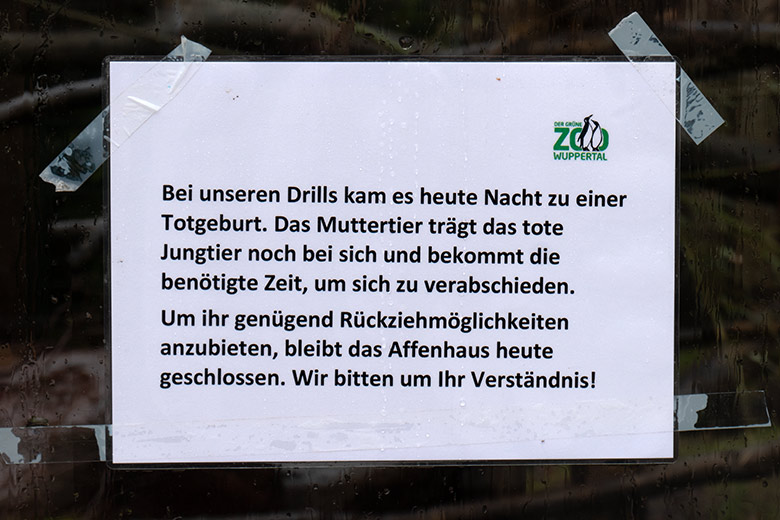 Aushang zu einer Totgeburt bei den Drillen am 13. Dezember 2023 an der Drill-Außenanlage am Affen-Haus im Grünen Zoo Wuppertal