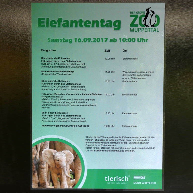 Programm zum Elefantentag 2017 am 16. September 2017 im Grünen Zoo Wuppertal