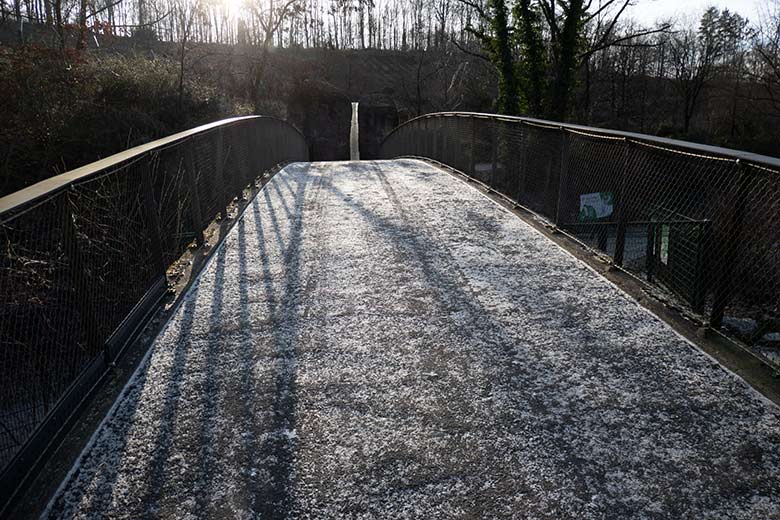 Besucher-Weg an der Brücke über die Samba-Trasse am 8. Januar 2024 in der Nähe der Löwen-Savanne im Grünen Zoo Wuppertal