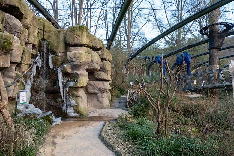Wasserfall mit Eis am 10. Januar 2024 in der Aralandia-Voliere im Grünen Zoo Wuppertal
