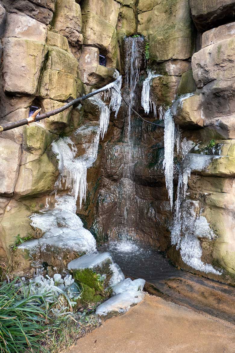 Wasserfall mit Eis am 10. Januar 2024 in der Aralandia-Voliere im Wuppertaler Zoo