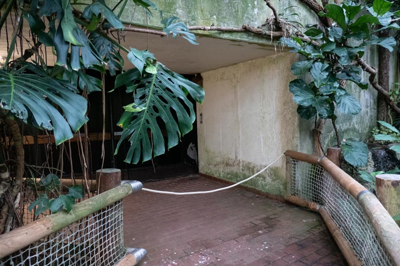 Versperter Ausgang vom Innenbereich der Freiflughalle zum Innenbereich des Vogel-Hauses am 13. Januar 2024 im Innenbereich der Freiflughalle im Wuppertaler Zoo