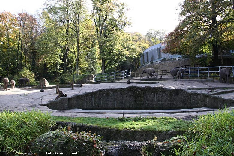 Anlage Nr. 40 Elefanten im Zoologischen Garten Wuppertal im Oktober 2008 (Foto Peter Emmert)