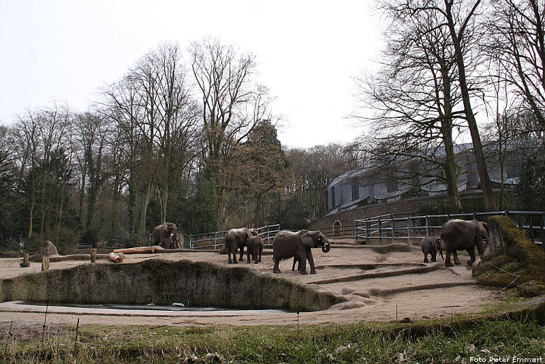 Anlage Nr. 40 Elefanten im Zoo Wuppertal im Februar 2009 (Foto Peter Emmert)