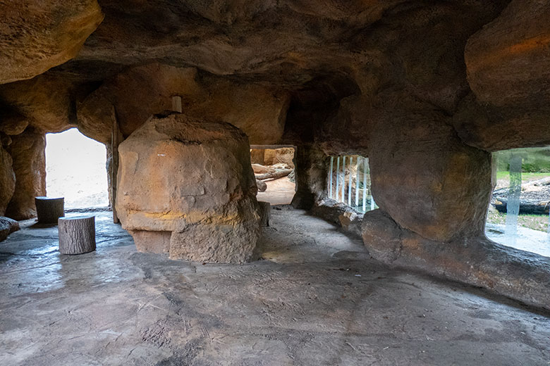 Blick über das Absperrband hinweg durch die gesperrte Besucher-Höhle zur Berberlöwin ALORE am 10. Februar 2024 im Innen-Schaugehege im Löwen-Haus im Grünen Zoo Wuppertal