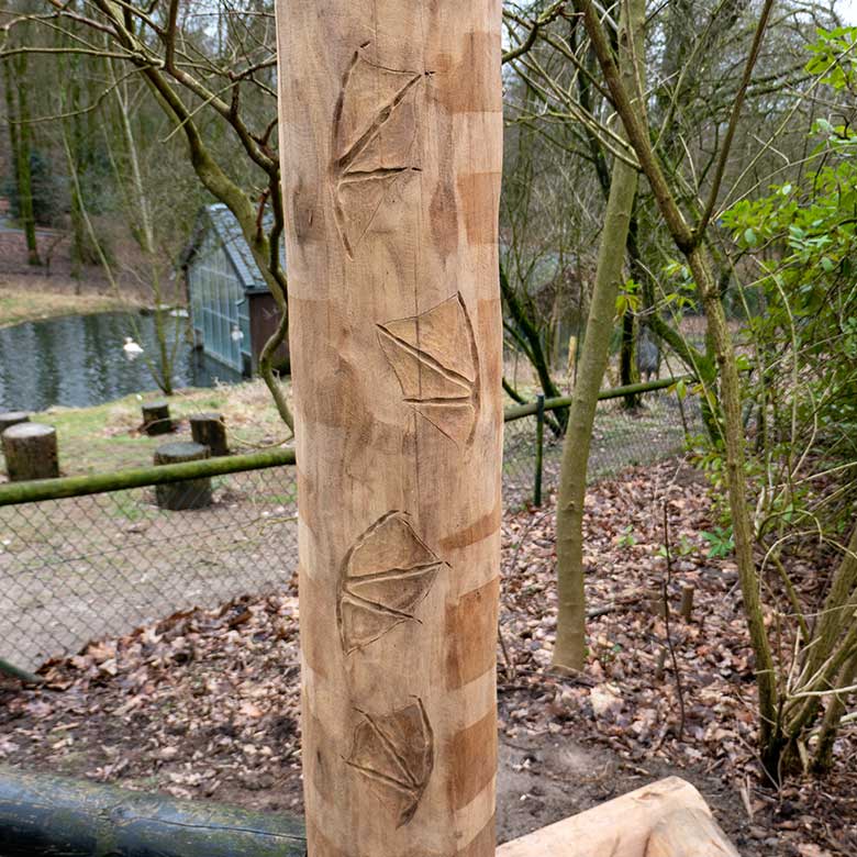 'Fußabdrücke' von Rosapelikanen am 11. Februar 2024 auf dem Tast-Stamm vor der Außenanlage der Rosapelikane im Zoo Wuppertal