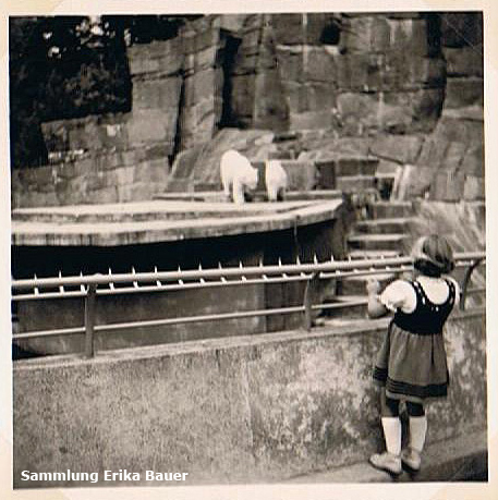 Große Freianlage für Eisbären im Wuppertaler Zoo im Sommer 1961 (Sammlung Erika Bauer)
