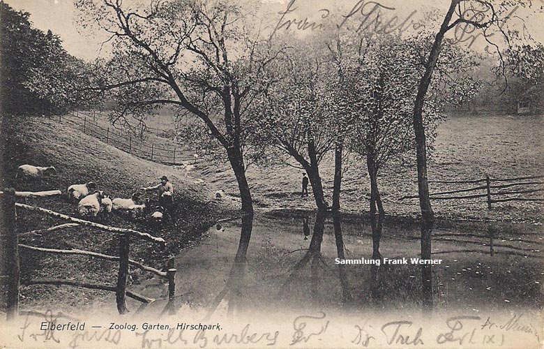 Hirschpark im Zoologischen Garten Elberfeld auf einer Postkarte von 1907 (Sammlung Frank Werner)