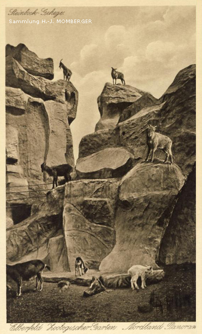 Nordland-Panorama mit Steinbock-Gehege im Zoologischen Garten Elberfeld (Sammlung H.-J. Momberger)