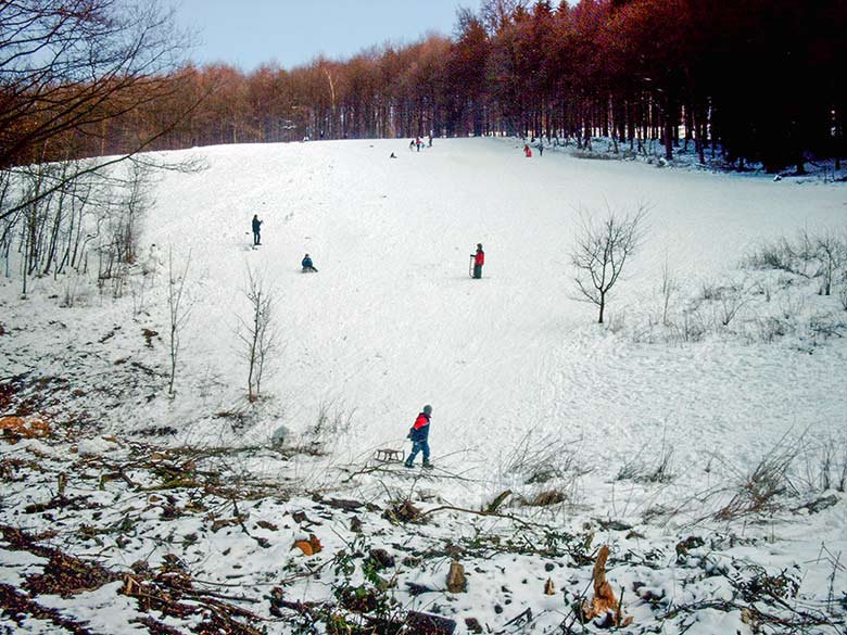 Rodelwiese zwischen Königshöhe und Haltepunkt Boltenberg am 6. März 2005