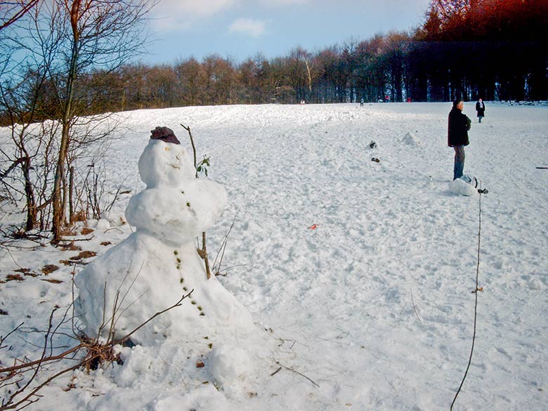 Rodelwiese zwischen Königshöhe und Haltepunkt Boltenberg am 6. März 2005