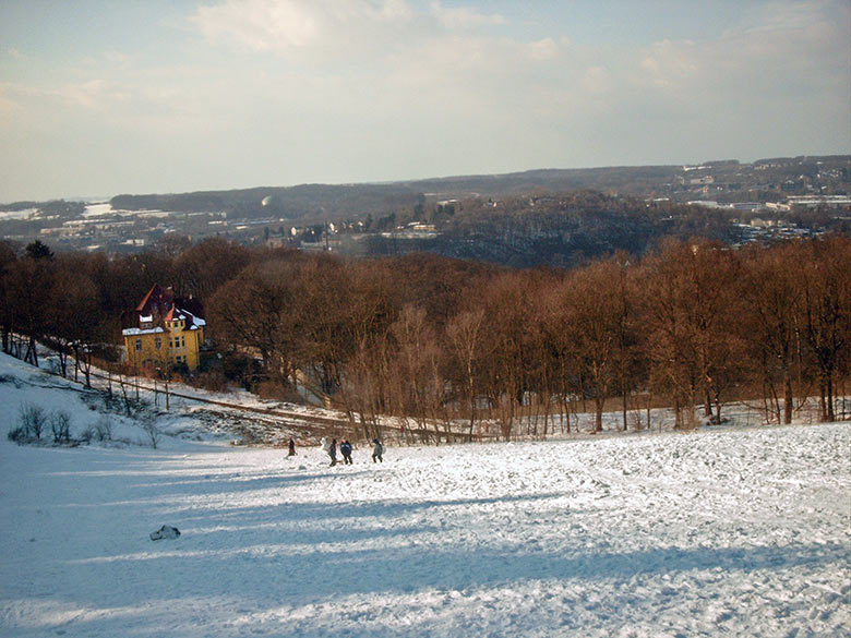 Rodelwiese zwischen Königshöhe und Haltepunkt Boltenberg am 6. März 2005