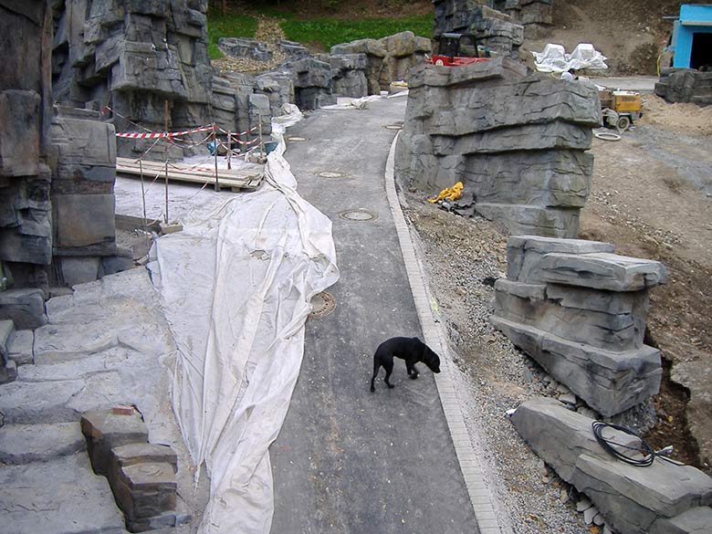 Blick von der Samba-Brücke am 27. Oktober 2006 auf die Baustelle im Tiger-Tal im Zoologischen Garten der Stadt Wuppertal