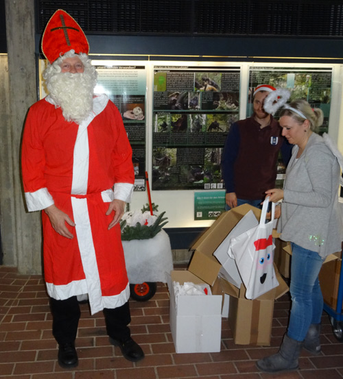 Ein Nikolaus am 6. Dezember 2015 im Menschenaffenhaus des Grünen Zoo Wuppertal