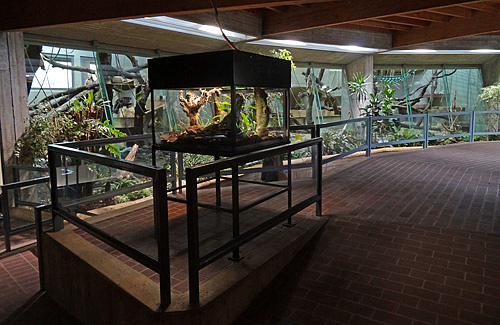 Schaukasten für das Biotop für Fleischfressende Pflanzen (Carnivoren) am 28. Januar 2016 im Menschenaffenhaus im Wuppertaler Zoo
