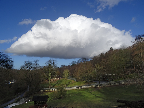 Wolke am 8. Februar 2016 gegen 14:00 Uhr über der Patagonienanlage im Grünen Zoo Wuppertal