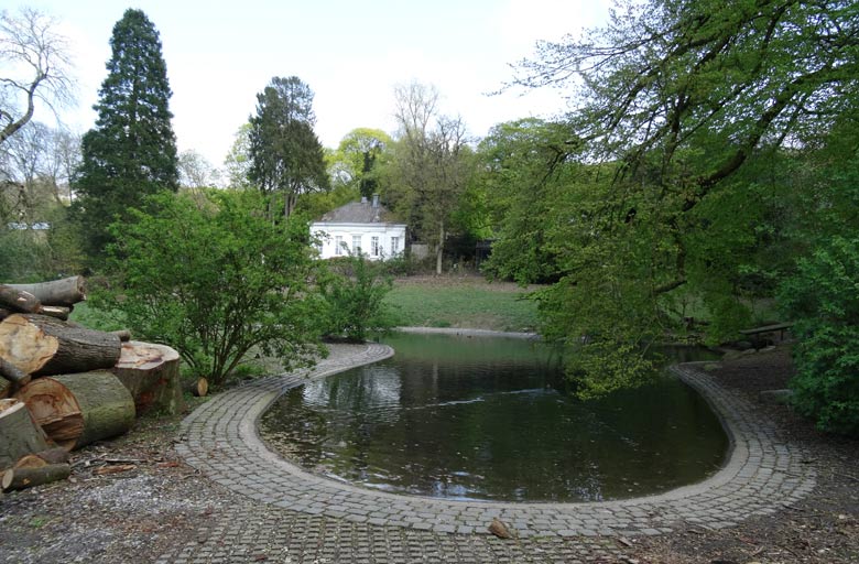 Gelagerte Baumstämme neben dem Teich für Hawaiigänse, Kaisergänse und Streifengänse am 1. Mai 2016 im Wuppertaler Zoo