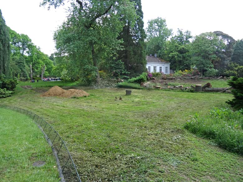 Erdhaufen im Mai 2016 auf der großen Wiese unterhalb des historischen Gebäudes der Zoodirektion im Zoologischen Garten der Stadt Wuppertal