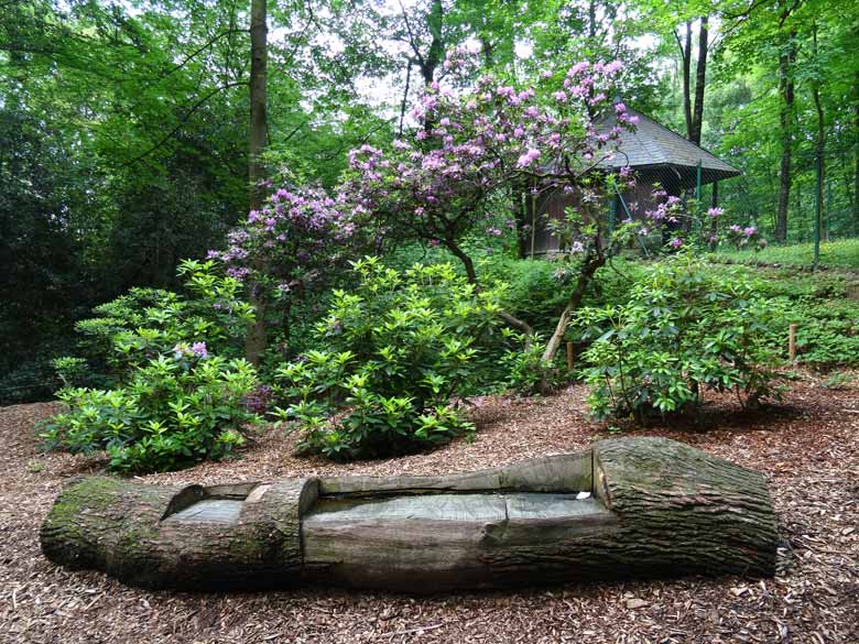 Neu hergerichtete Sitzmöglichkeit am 4. Juni 2016 im Grünen Zoo Wuppertal