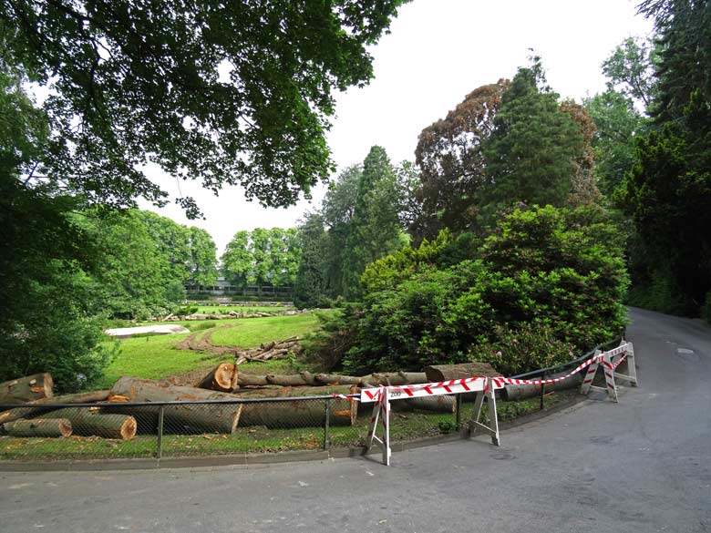 Vogelwiese am 11. Juni 2016 im Zoo Wuppertal