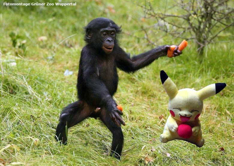 Pokémon mit Bonobo im Grünen Zoo Wuppertal (Fotomontage Grüner Zoo Wuppertal)