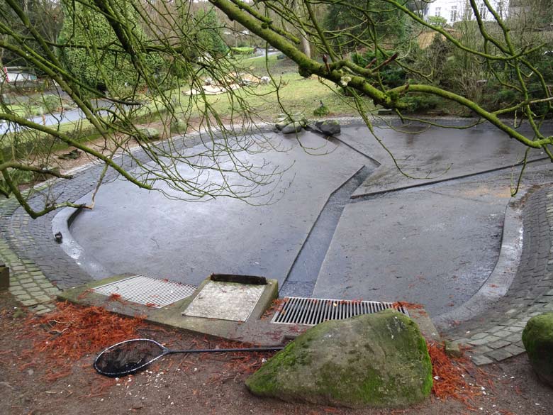 Abgelassener Teich am 23. Dezember 2016 an der früheren Vogelwiese im Grünen Zoo Wuppertal