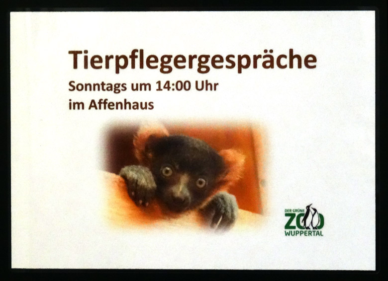 Information am 26. Dezember 2016 zu Tierpflegergesprächen im Affenhaus im Grünen Zoo Wuppertal
