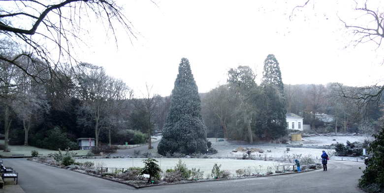 Blumenrondell am 31. Dezember 2016 im Grünen Zoo Wuppertal