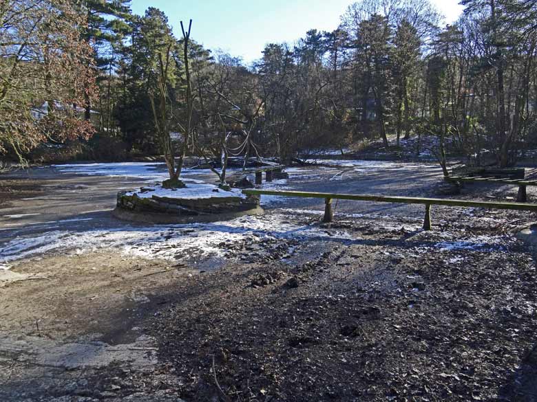 Der große Teich ohne Wasser im Januar 2017 im Grünen Zoo Wuppertal