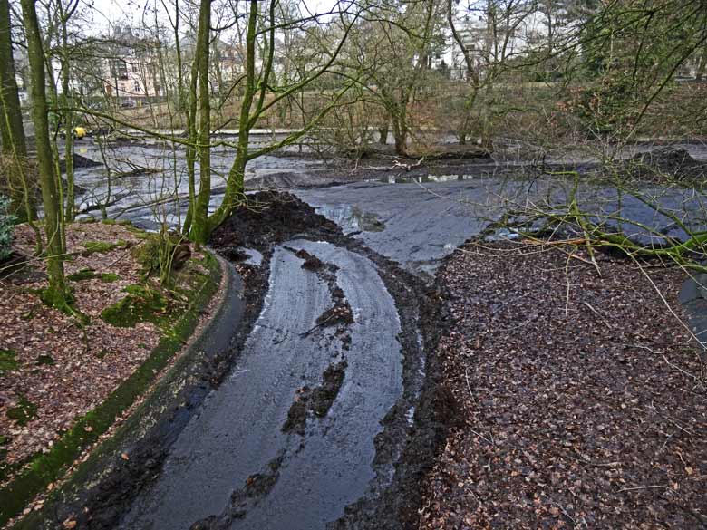 Großer Teich ohne Wasser am 2. Februar 2017 im Zoo Wuppertal