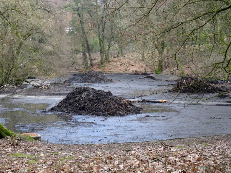 Großer Teich ohne Wasser am 2. Februar 2017 im Grünen Zoo Wuppertal