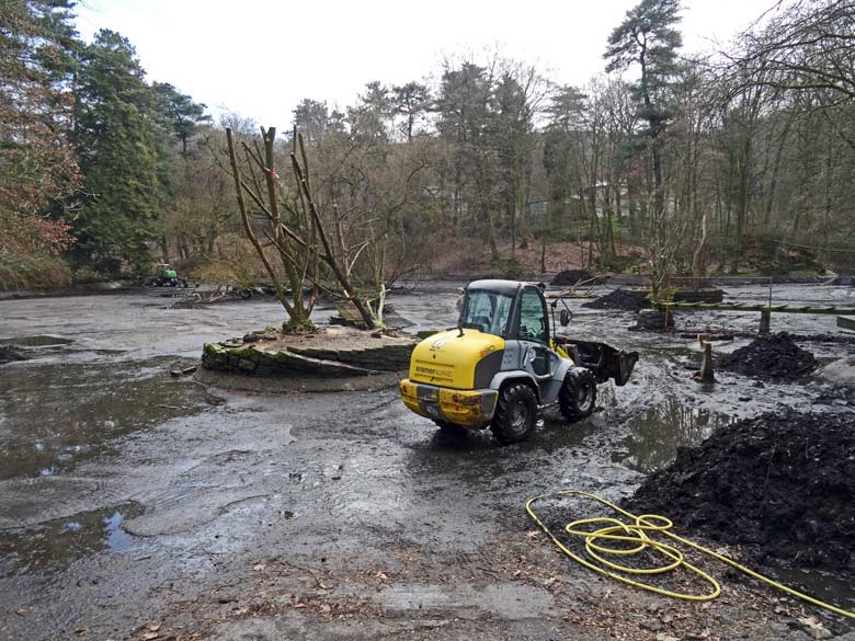 Großer Teich ohne Wasser am 2. Februar 2017 im Zoologischen Garten der Stadt Wuppertal