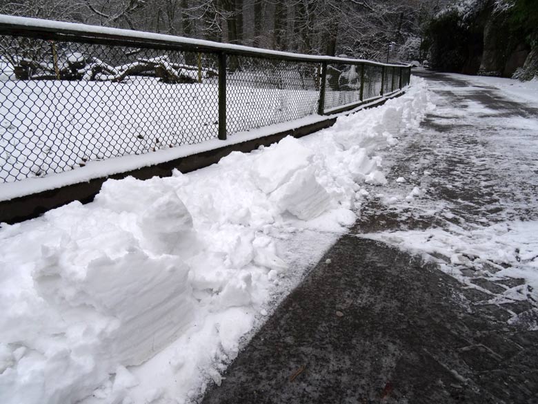 Von Schnee geräumter Weg am 11. Februar 2017 im Zoologischen Garten Wuppertal