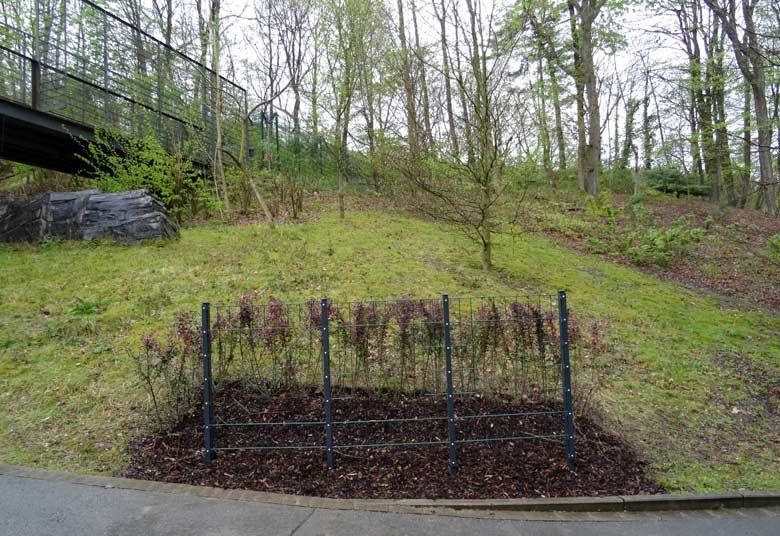 Sogenanntes Liebesgitter am 1. Mai 2017 am Wasserspielplatz im Grünen Zoo Wuppertal