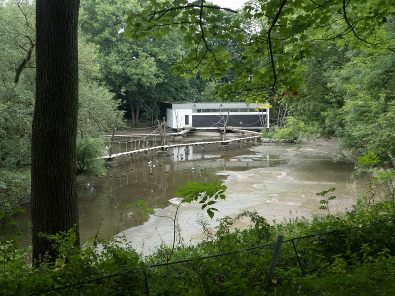 Gibbonhaus am wasserarmer Großen Teich am 26. August 2017 im Grünen Zoo Wuppertal
