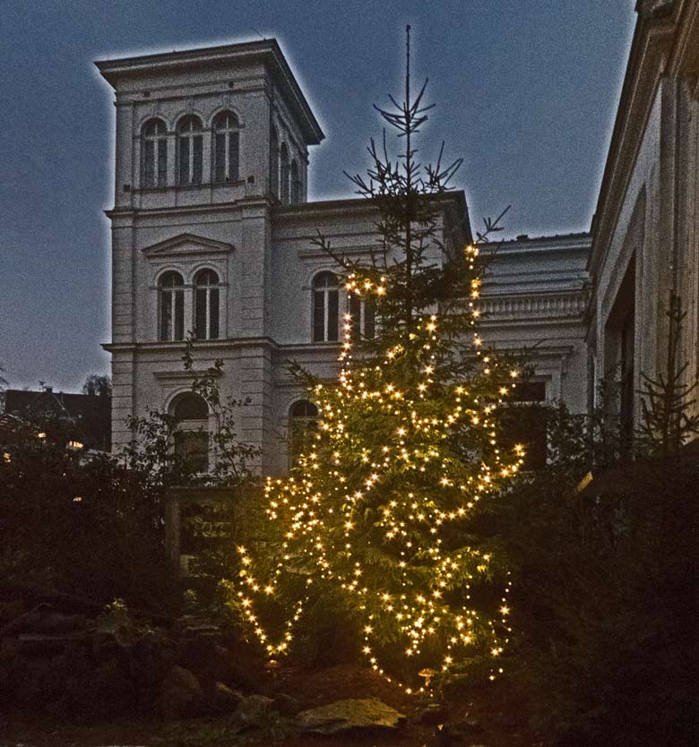 Weihnachtliche Beleuchtung im Dezember 2017 im Eingangsbereich im Grünen Zoo Wuppertal