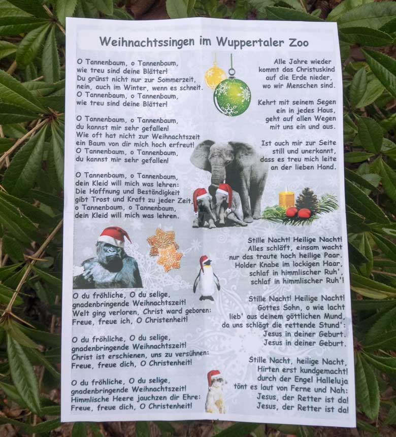 Ein Textblatt für das Weihnachtssingen im Wuppertaler Zoo am 24. Dezember 2017