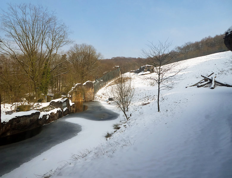 Zugefrorener Wassergraben am 3. März 2018 an der großen Außenanlage für Afrikanische Löwen im Grünen Zoo Wuppertal