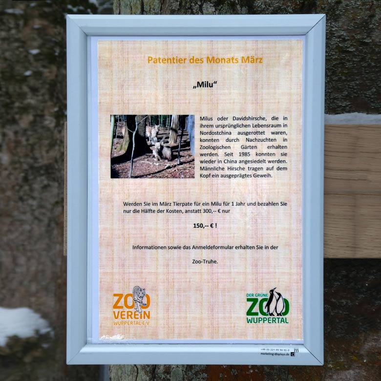 Aushang zum Patentier des Monats März am 3. März 2018 im Grünen Zoo Wuppertal