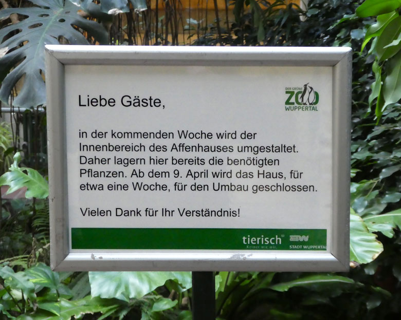 Vorbereitung zur Umgestaltung im Affenhaus am 6. April 2018 im Grünen Zoo Wuppertal