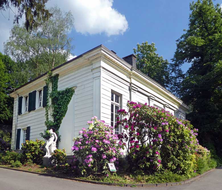 Blühende Rhododendren am 9. Mai 2018 vor dem historischen Gebäude der Zoodirektion im Zoologischen Garten Wuppertal