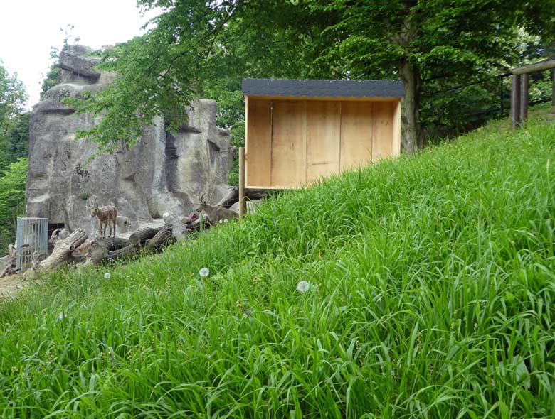 Rohbau für ein Insektenhotel am 9. Mai 2018 neben der Anlage für den Sibirischen Steinbock im Grünen Zoo Wuppertal