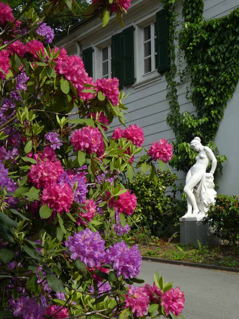 Rhododendren und Andromeda-Skulptur vor dem historisches Gebäude der Zoodirektion am 21. Mai 2018 im Grünen Zoo Wuppertal