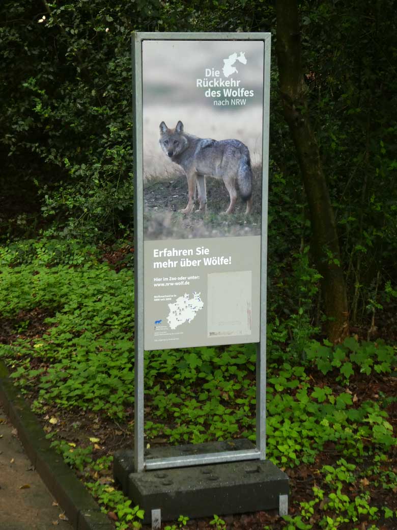 Information zur Rückkehr des Wolfes am 2. Juni 2018 am ehemaligen Wolfsgehege im Zoo Wuppertal