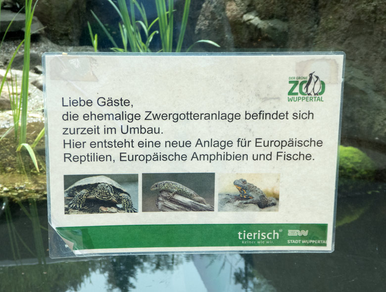 Information zum Umbau der ehemaligen Zwergotteranlage am 16. Juni 2018 im Zoologischen Garten Wuppertal