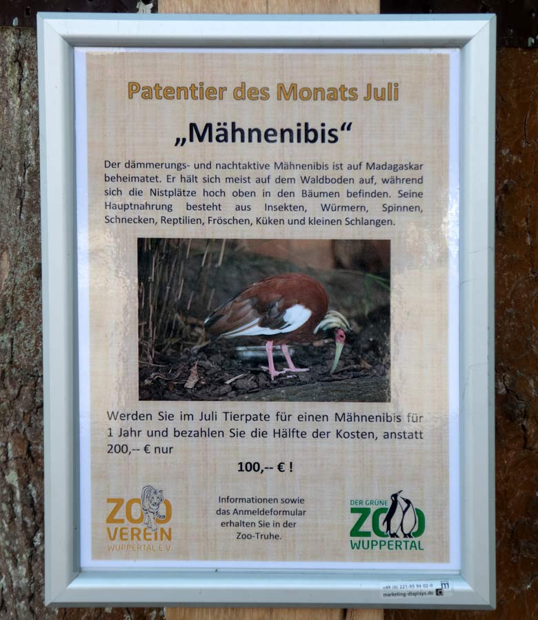 Aushang zum Patentier des Monats Juli 2018 im Grünen Zoo Wuppertal