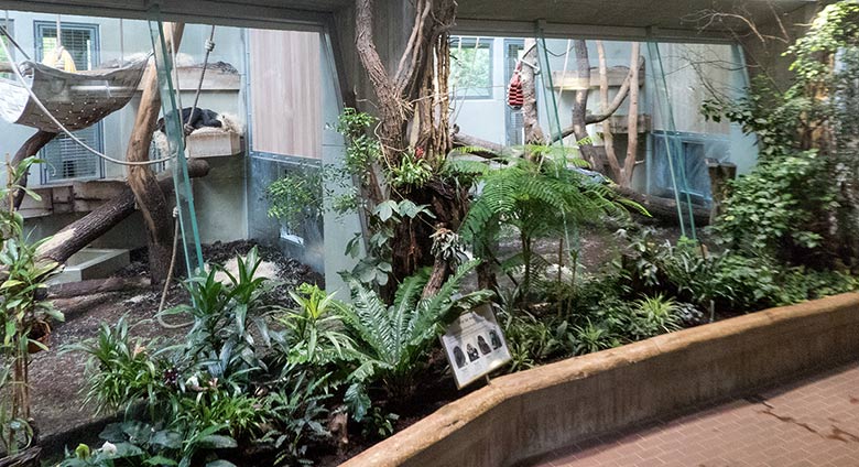 Die beiden neuen Trennwände mit Schieber im Innengehege im Menschenaffenhaus im August 2018 im Grünen Zoo Wuppertal